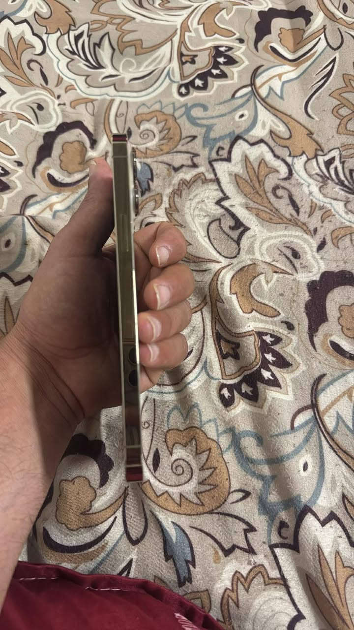 13 برو ماكس
قافل ايكلود 
ذاكره 256 
بطاريه 80 الجهاز مامفتوح 
السعر 350


**إذا كنت صاحب هذا الإعلان وتريد حذفه لأي سبب، رجاءا أرسل رسالة إلى الدعم الفني**