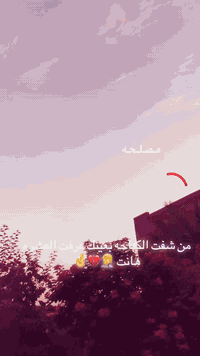 دراجه ٣١٨ • سرعة ٨٠ • الكرغوليه