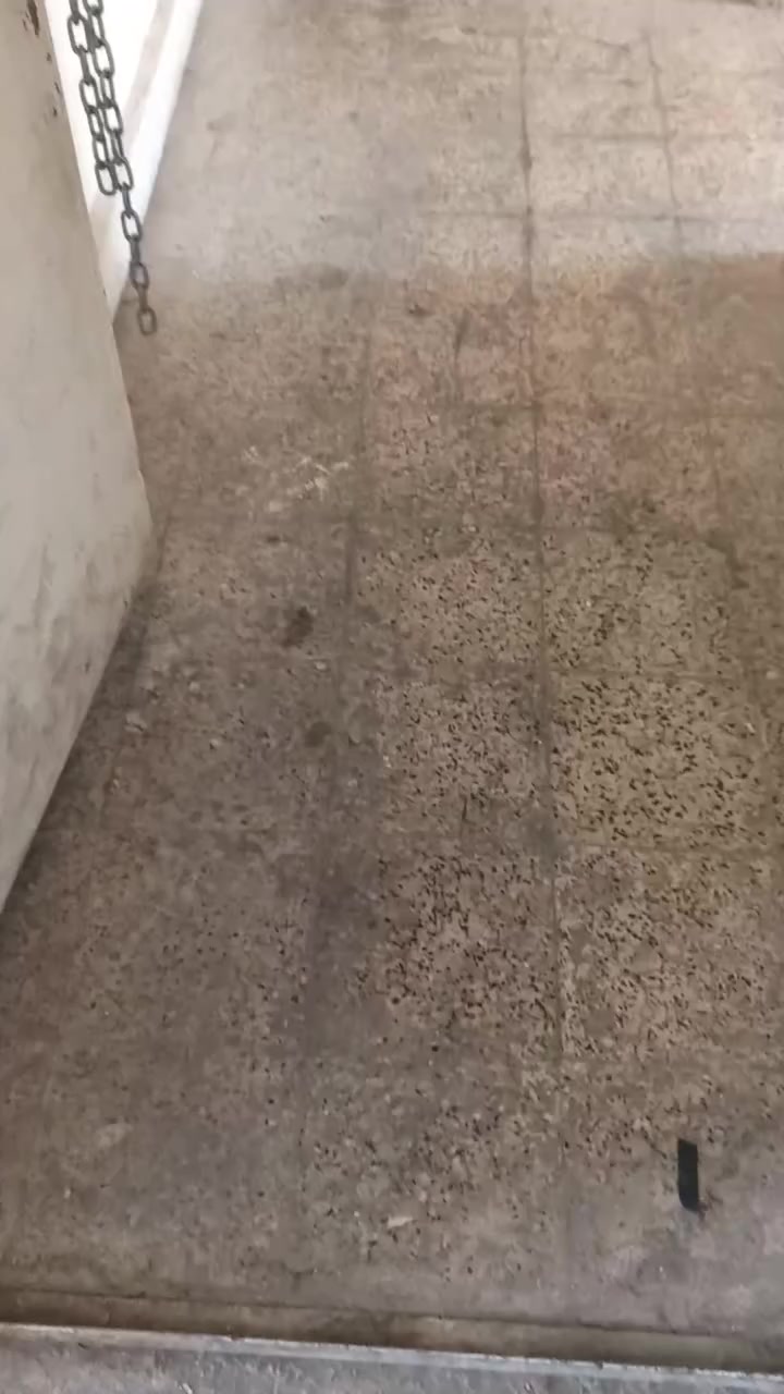 للاجار
3٥0
دلاليه
100
السعدون شارع سميرا ميس


**إذا كنت صاحب هذا الإعلان وتريد حذفه لأي سبب، رجاءا أرسل رسالة إلى الدعم الفني**