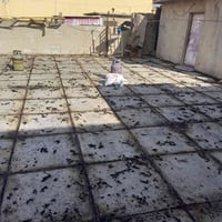 قلع ماستك • تطبيق استيكر • وايزوكام