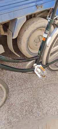 ياباني • زيتوني • موديل مجهول