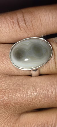 خاتم سليماني • نوادر • عينتين صريحات