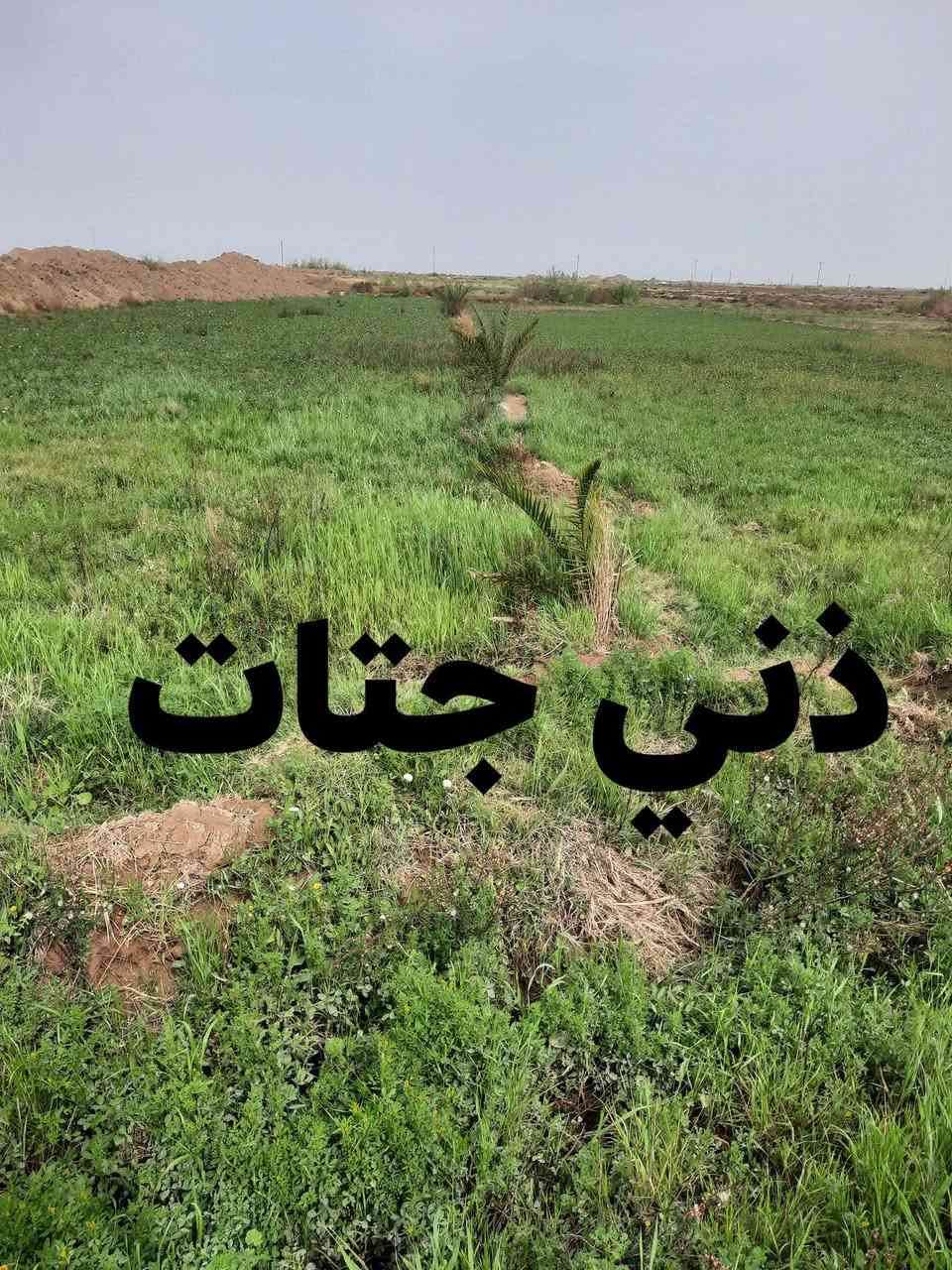 سلام عليكم
شروه البيع بيها 14 دونم ودونمين جت وياها ماطور وماي بيها 
مكان قلعه سكر على طريق معمل زيوت علاشارع 
خوان مكلف بنشر رقم صاحب شروه ***********
