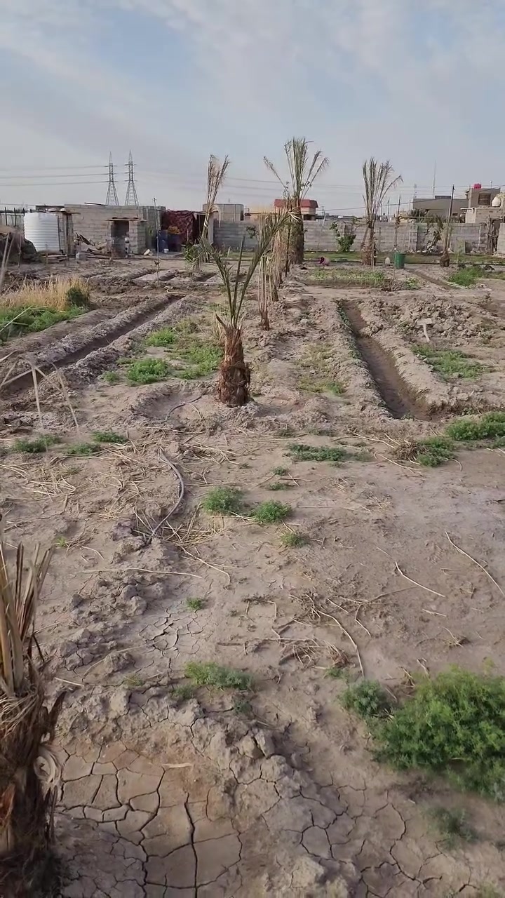 قطعة أرض للبيع في زراعي حي الجامعة  سند 25 مشمول بالتطويب مرقم، خدمات كهرباء وماء ومجاري مشمول بالجهد الخدمي المساحة 1000 متر الواجهة 49 متر، النزال 21 متر. للتواصل: ***********
