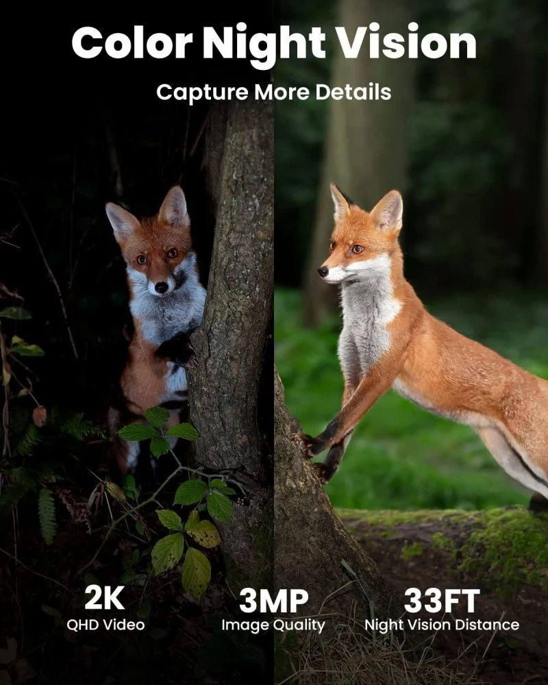 كاميرا مراقبة لاسلكية تعمل بالبطارية ولا تحتاج إلى أسلاك طاقة أو كابلات شبكة. 
الاتصال: تعتمد على تقنية Wi-Fi للاتصال بالإنترنت والمراقبة عن بعد. 
الرؤية الليلية: تتميز بخاصية الرؤية الليلية بالأشعة تحت الحمراء، حيث تصل مسافة المراقبة إلى حوالي 10 أمتار (33 قدمًا).
وتتميز بدقة 2K ورؤية ليلية ملونة. 
التركيب: يمكن تركيبها في أي مكان تقريبًا باستخدام الحامل والبراغي المرفقة.


**إذا كنت صاحب هذا الإعلان وتريد حذفه لأي سبب، رجاءا أرسل رسالة إلى الدعم الفني**