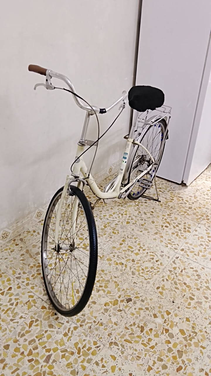 بايسكل للبيع
حجم 26 ياباني
 اصلي حاويه كامل مابي اي نقص جميع ختومات الشركه بي 
  سعر 50 بي مجال💸
 العنوان كركوك حي الأسرى والمفقودين نزول الجسر الربع 
***********☎️
