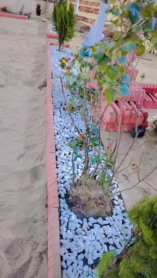 سلام عليكم من رخصت دمن
نشتقل حدائق كرسته وعمل حسب الطلب 
***********
