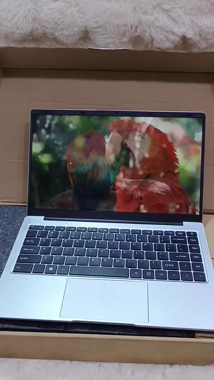 لابتوب جديد بالكارتون اصلي ذاكره ٥١٢ عشوائية ٨المواصفات داخل الصور السعر ٢٥٠ الف


**إذا كنت صاحب هذا الإعلان وتريد حذفه لأي سبب، رجاءا أرسل رسالة إلى الدعم الفني**