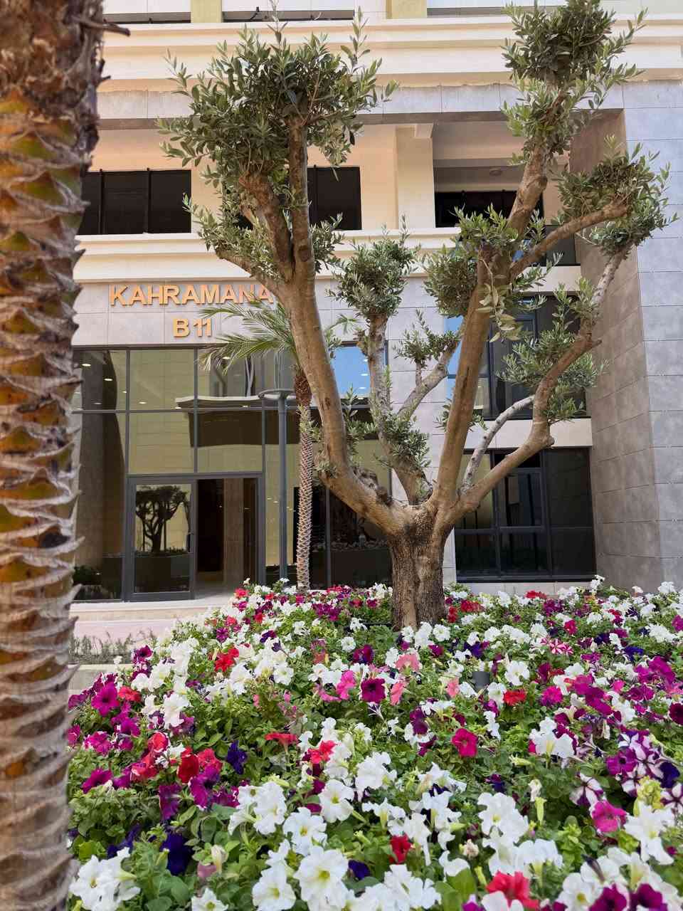 أبراج النخلة السكني ✨
حياة عصرية تجمع بين الهدوء، الأمان، والتصميم الراقي في قلب المدينة 🌴
يوفر المجمع بيئة متكاملة للسكن مع مساحات خضراء وخدمات مميزة تمنحك الراحة بكل تفاصيلها @palm.towers 

📍 أبراج النخلة — حيث تبدأ الحياة الأجمل.

📞 للاستفسار والتفاصيل يرجى التواصل:
***********
مستشار المبيعات: سبأ حيدر
