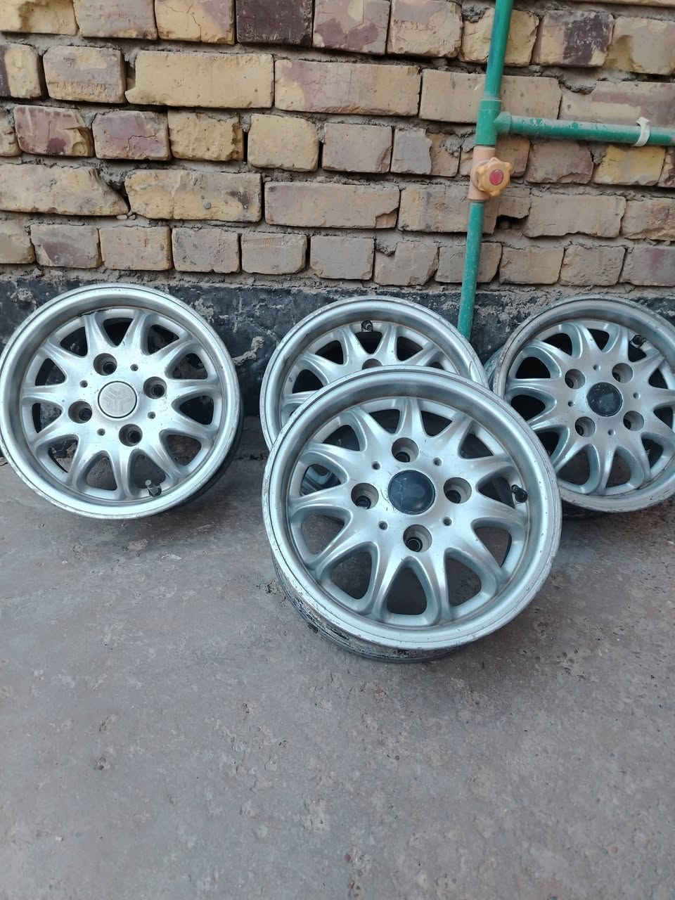 تخم ويل كب للبيع مال سايبه مكاني حله مركز  ***********
