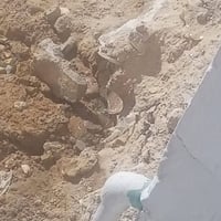 عامل مجاري • عتبة للباب • حولي