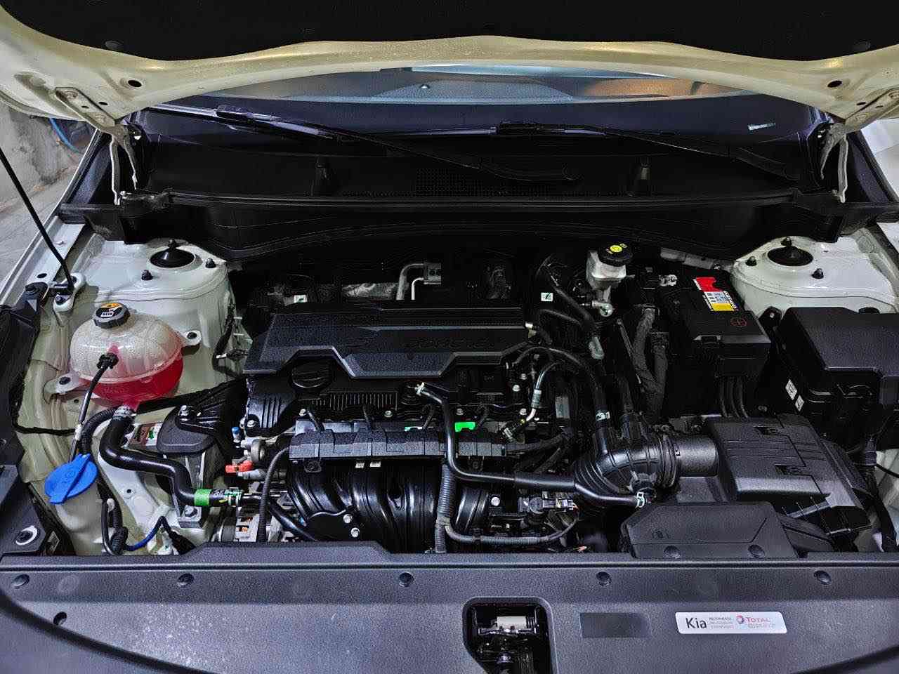 بيع مستعجل 

كيا سبورتاج 2023 خليجي

مكفولة من الدعامية لدعامية 

ماشية 34 الف كم

مواصفات 
✅بصمه تشغيل وابواب ✅وصندوك 
✅دخول ذكي
✅انارة ترحيب
✅عداد إلكتروني
✅شاشة جبيرة 
✅ويل ١٩ 
✅لايتات زينون
✅كشاف ضبابي 
✅مري شفت وكهرباء 
✅تبريد قطعتين 
✅تحكمات استيرن
✅حساس امامي وخلفي
✅٤ وضعيات قيادة 
✅مساعد نزول منحدرات
✅داخل اصفر 
✅شاحن لاسلكي
✅تشغيل عن بعد 

كير ومحرك مكفولات بحالة الوكالة🛠️📦

رقم اربيل الجديد باسمي سنوية وهزه جديدة 

عليه تخم تايرات جديد وبطارية وصدر وحدادية كامل جديدة✅

سيارة كلش نظيفة ومال جناي وبل عافية عل ياخذها مقدماً 

وسعرها 206 قفل 🔒 مناسب كلش

مكان سيارة كركوك

*********** كركوك, العراق
