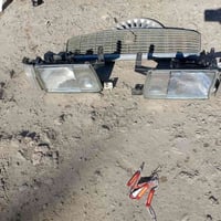 غراض أرنب بجم كامل 07759604472