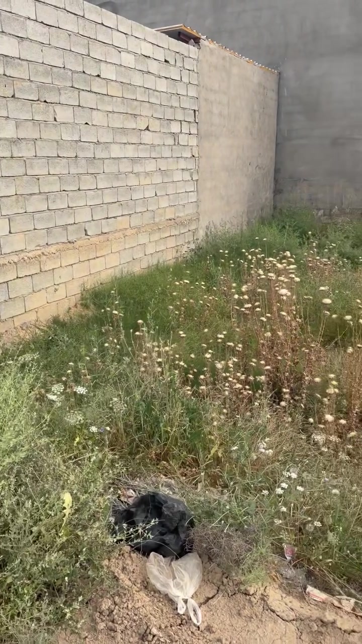 سلام عليكم قطقه للبيع 210 متر قطعه حلو زراعي سعر  قطعه ركن  رقم *********** ما يشتري لا يسل سعر 27 بيه مجال قليل ❤️تعال هله بيك

