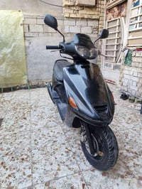 فراشة • فحل • بابل