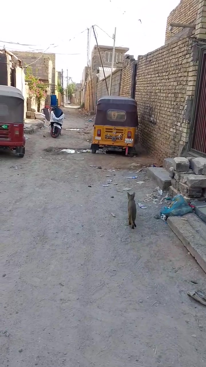 قطعي لبيع  سبع قصور شارع ابو حمد قرب مدارس سعر 5 ***********
