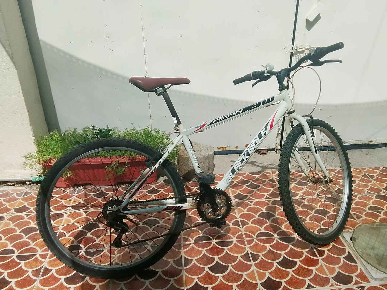 🚲 للبيع دراجة هوائية BLACK WOLF FARAN 311
إذا تبحث عن دراجة عملية وبسعر مناسب، فهذه فرصة ممتازة.
✅ الماركة: BLACK WOLF
✅ الموديل: FARAN 311
✅ النوع: دراجة جبلية (Mountain Bike)
✅ اللون: أبيض مع أسود وأحمر
✅ الحالة: نظيفة وجاهز للاستخدام
💰 السعر: 120,000 دينار عراقي (قابل للتفاوض بالمعقول)
📍 الموقع: الكوت – حي الشهداء
📩 للمهتمين، التواصل على الارقام التاليه الجاد بالشراء فقط.
الرقم: ***********
