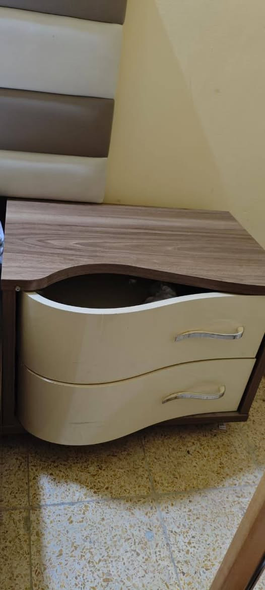 غرفه نوم تركي 7 قطع بحالة ممتازة
1.كنتور 6 باب 

2.مرايا قيافه متحركه مع زاويه 

3.سرير 180سم في 200 سم   

4. عدد 2 كومدي جرار بصف  السرير

5. ميز مرايه مع مرايه 

 سعر الشراء 3 مليون 

ابيعها بمليون 300 وبيها مجال 

البصرة
التواصل عبر الواتساب 
***********
