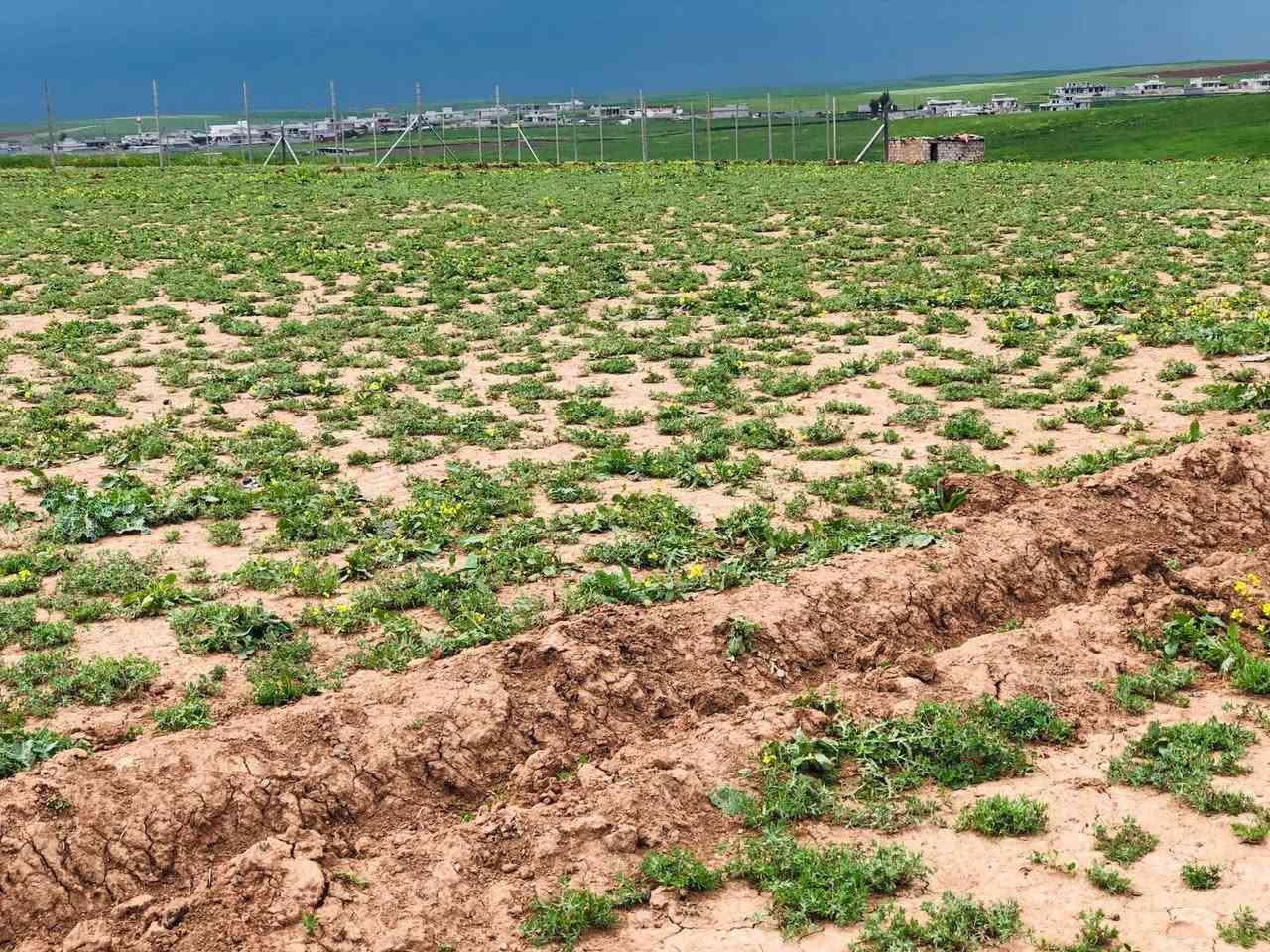 ارض للبيع الموقع القوسيات بعد التبادل
مساحات حسب الطلب 
عدد 5 قطع 
200.     سعر 7 مليون بيها مجال 

300

400
 
سند 26 ابيض حق التصرف 
مكاتبه ويا الشرعي 
خدمات ماي و كهرب 
تبعد عن الشارع 700 متر  
 استفسار واتساب 
او انتصال
***********
***********
