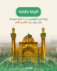 زيارة بالإنابة • عيد الغدير • مرقد الإمام علي