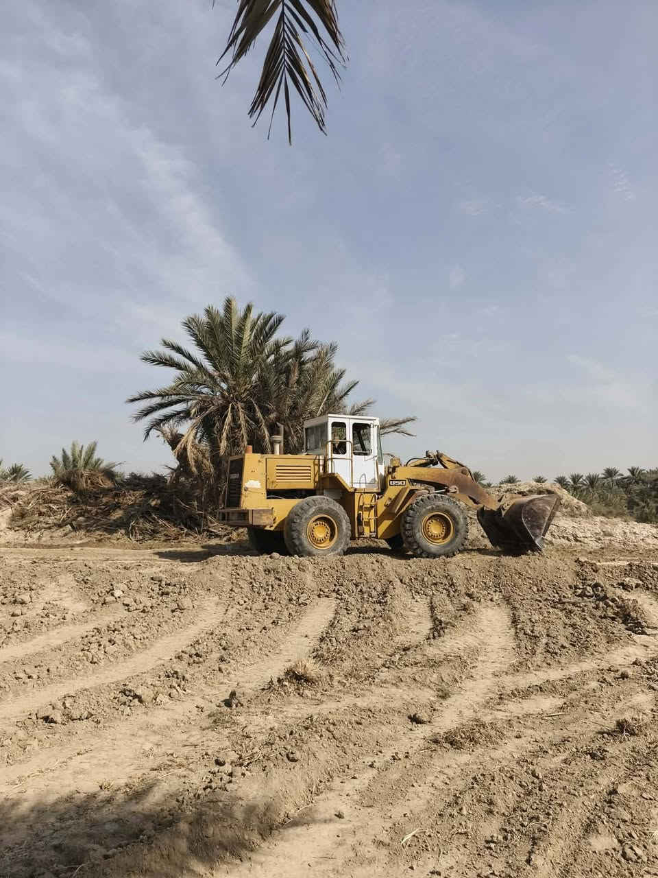 شفل للبيع ياباني    TCM أصلي موديل 2000 منفيس كامل مكينة كمنز شفل كلشي ماعايز كبل للعمل السعر 110 وبي مجال اني مكلف بلنشر 
***********
