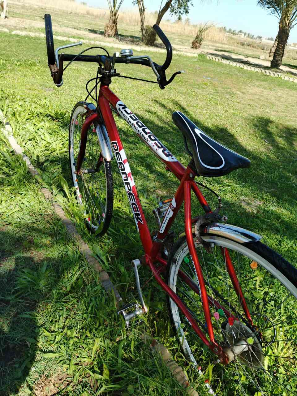 🚴‍♂️ للبيع بيسكل نوع Diamondback 🚴‍♂️

• النوع: Diamondback ابو العقرب
• اللون: احمر
• الحالة: يحتاج ركعة لتاير الورة لأن ياخذله يوم ويفش التاير
• السعر:85 ألف دينار وبي مجال بسيط للجادين
• المكان: الوسفية القصر 

📞 للاستفسار الاتصال على الرقم: ***********

🌿 اللي مهتم يراسل خاص أو يتصل مباشر
