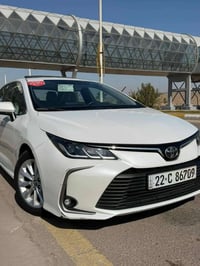 كورلا • ٢٠٢٣ • رقم اربيل