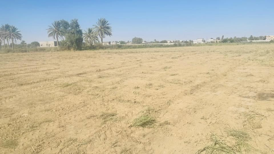 ارض زراعيه للبيع  مساحتها 7 دوام تريد كلها تريد دونم بيها طريق على طريق الدبسه وبيها طريق يطلع على السده قريبه من مدرسة سيد المرسلين 
هاتف :- ***********
