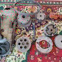 سكنس • اصليات • تفصيخ