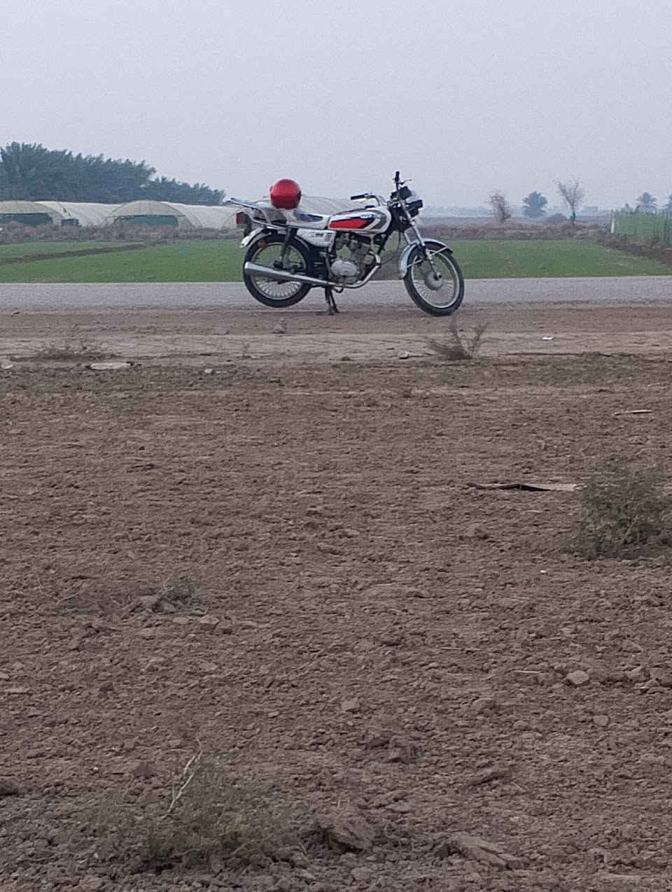 السلام علیکم تایکر 23 اوراق للبیع العنوان بابل محاویل ناحیه الامام الاستفسار اتصال ع رقم ***********
