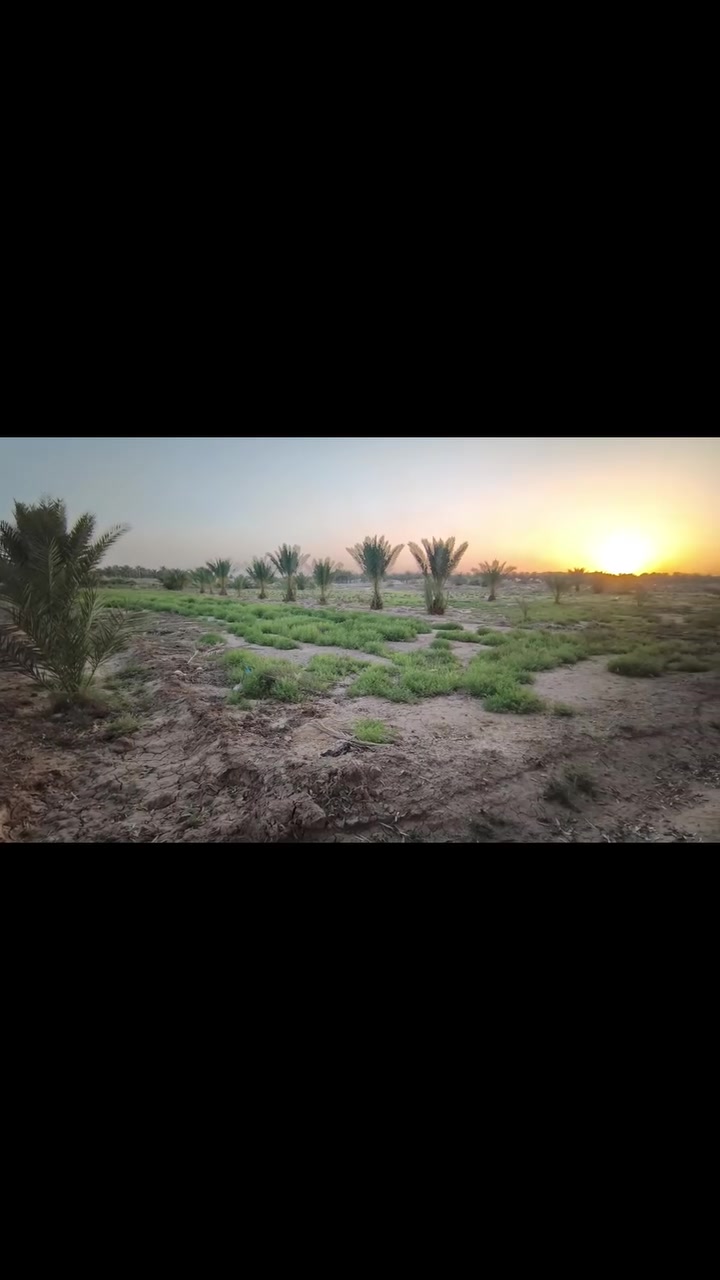 فرصة ذهبية لأرض مميزة في أرقى المواقع
موقع الارض حله بدبت منطقة ابراهيم الخليل عليه توجود كافة الخدمات بيه ماء لسقئ كهرباء تبعد عنه مسافه مكان هدوء وراقي من الجمال تصلح سكن وتصلح مزرعه تبعد عن الشارع العالم مسافة 3كليو وعن التبليط مسافه 500متر فقط
لاستفسار اكثر الاتصال
***********
***********
