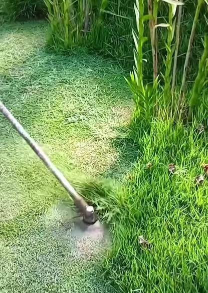 السلام عليكم عندك تنضيف حدايق او مزرعة هاذرقمي ***********
