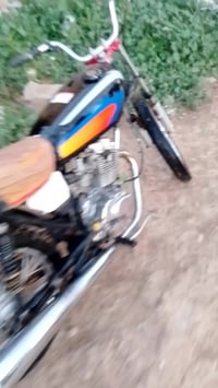 اربعة كير • معدل • فصلة فول