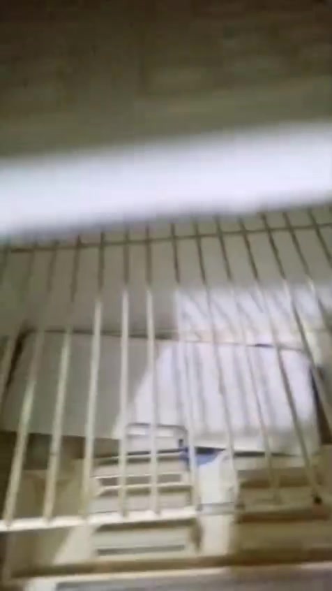ثلاجه للبيع عوزها بس غاز


**إذا كنت صاحب هذا الإعلان وتريد حذفه لأي سبب، رجاءا أرسل رسالة إلى الدعم الفني**