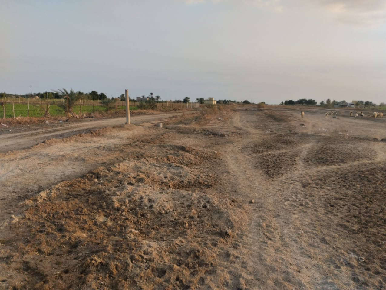 بسم الله الرحمن الرحيم 
كاع دونيمين700متر للبيع 
صوب بني ركاب طريق سعيدان 
خلف الحامع 
على الشارع التبليط 
خدمات موجود كهرباء 
ومي اساله ومي سقي من سعيدان 
الكاع زراعيه
السعر وباقي التفاصيل 
يم صاحب الكاع 
رقم صاحب الكاع ***********
او على الأرقام 
***********
***********
او مراسلة الصفحة 
#هادي_الحجيمي
