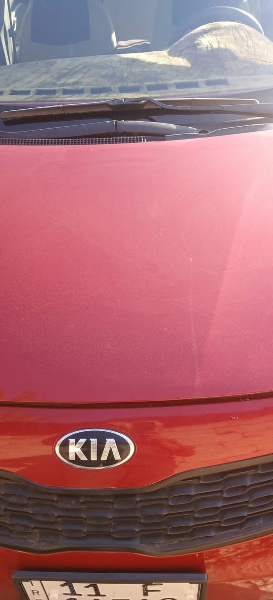 للبيع كيا ريو ٢٠١٤وارد أمريكي احدثها جاملغ خلفي
مثل ما موضّح بل صورة ادفعه تبريد
كير محرك رقم جديد سنويه ٢٠٣١
السعر٧٣$بيها مجال
العنوان بغداد 
***********
