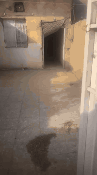 خلف القضاة • ٧٥م • دور ارضي جاهز