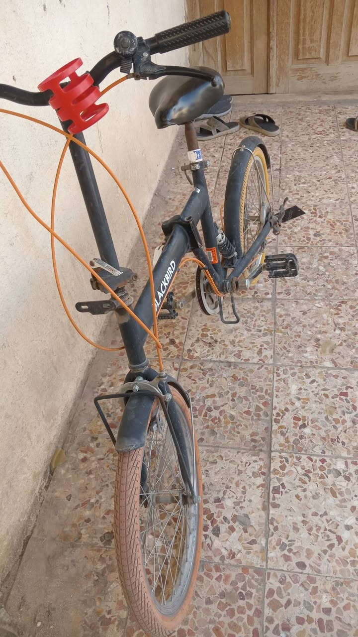 سلام عليكم
بايسكل طباكي للبيع سعر 25


**إذا كنت صاحب هذا الإعلان وتريد حذفه لأي سبب، رجاءا أرسل رسالة إلى الدعم الفني**