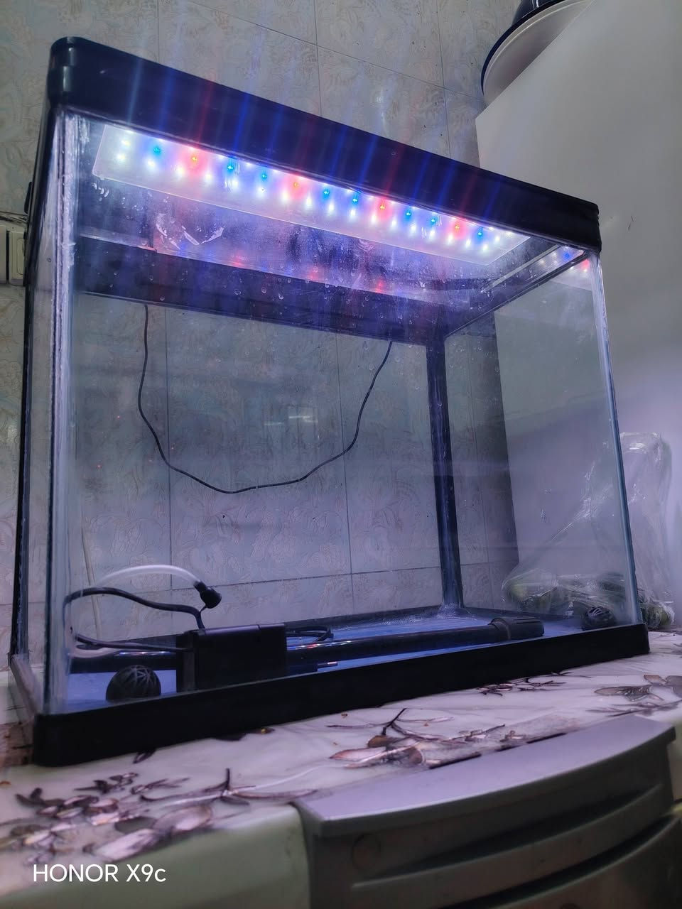 حوض سمك كل عيب مابي شغال كل كهربائيات
قياسات
الارتفاع 47
العمق 32
العرض 57
السعر 50 الف


**إذا كنت صاحب هذا الإعلان وتريد حذفه لأي سبب، رجاءا أرسل رسالة إلى الدعم الفني**