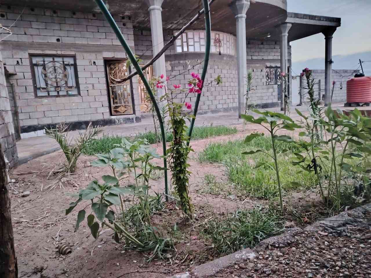 سلام علیکم.  اخوان بیتین. المساحه. 2000. بصره الشعیبه السكك البیت الاول بیه 3 غرف +هوال +مطبخ..  البیت الثانی بیه غرفتین +هول +مطبخ البیتین جاهزات للسکن وبناء جديد  السعر ٦٠ وبيهن مجال الستفسار ***********.
