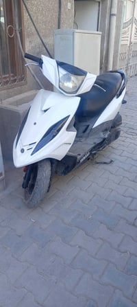 مراوس • بسكنس • جديد