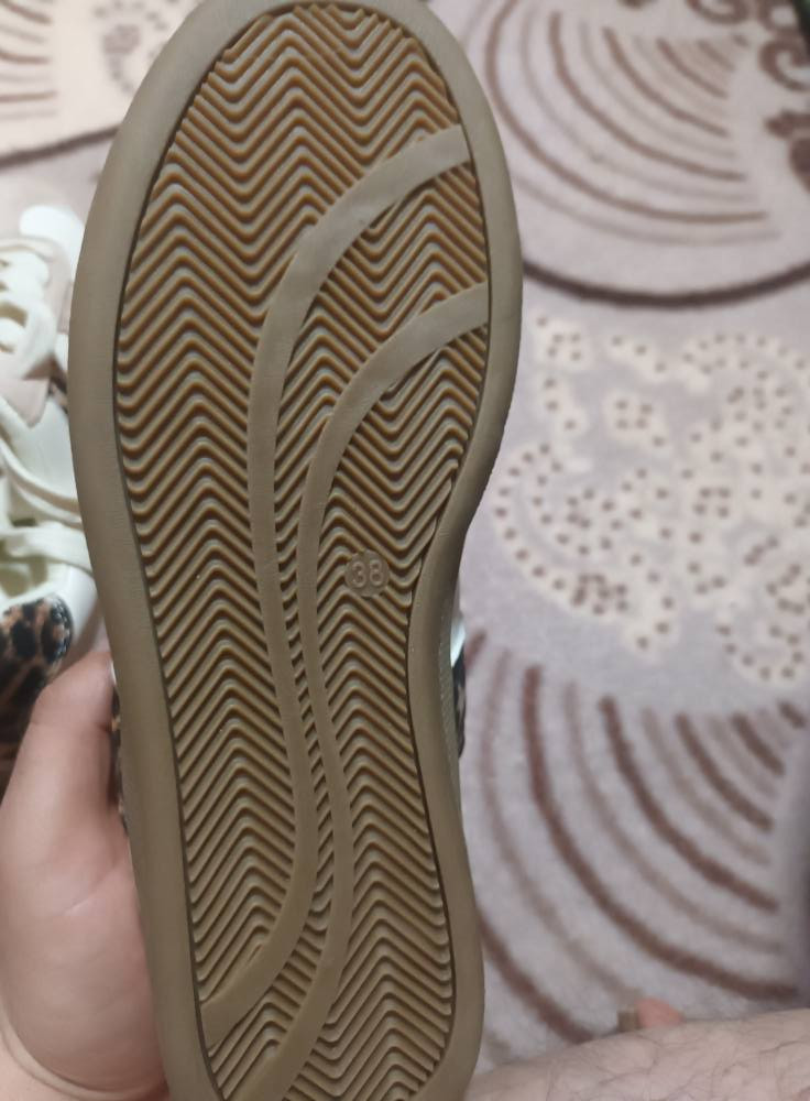 مجموعة احذيه وشحاطات باسعار مناسبه مكان حله نادر ويتوفر خدمه توصيل


**إذا كنت صاحب هذا الإعلان وتريد حذفه لأي سبب، رجاءا أرسل رسالة إلى الدعم الفني**