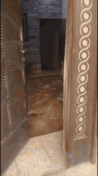 سلام وعليكم الدار البيع مساحه 100 متر وجه 5 ونزال 20 يهتوي على غرف ثنين نوم وصاله وحولي ومطبخ معا حمام دخلي وخارجي العنوان الف خلف حسام ابو جمله ..📍الستفسار *********** وتساب +هاتف ***********
