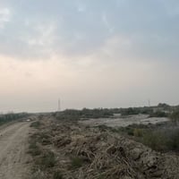 مقابيل الأسالة • ٢٠ دونم • سند ٢٥