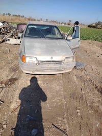 اوبل كاديت • تفصيخ • مسيب