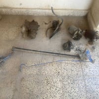 قطع غيار • فوزوا مربع