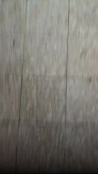 مغسلة سيارات • بطارية ٢٠ فولت • ضمان سنة