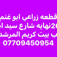 ابو غنم • ٢٠٠م • ارض