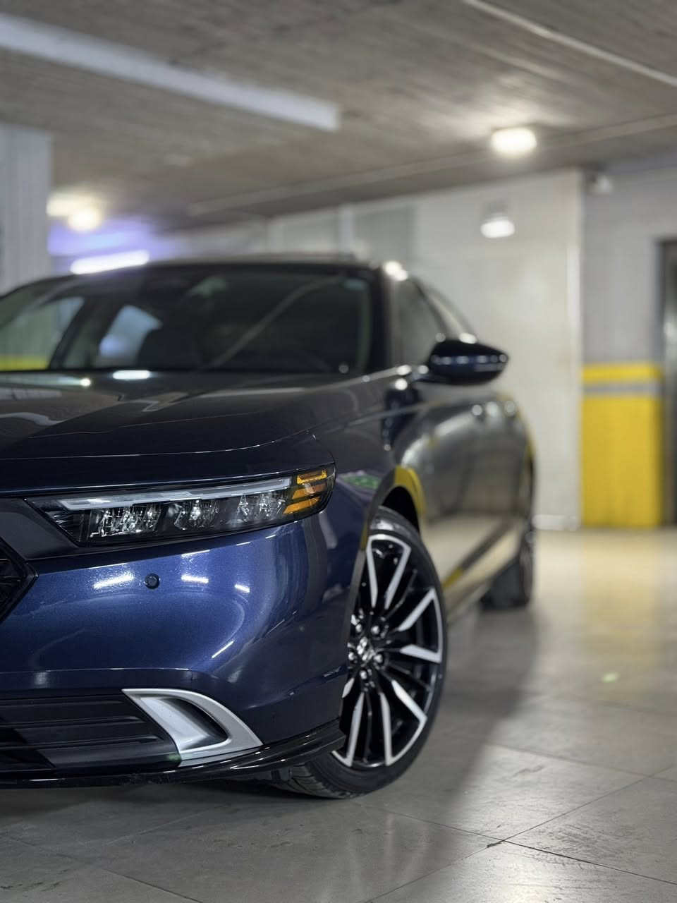 سلام عليكم
هونداي اكورد مديل 2024
اعله فئه بيهن
موصفات. مگينه 2000هايبرد تنفس طبيعي.  گير اوتماتيك. شاشه كبيره.   فتحه سلايت.  كامره خلفيه3انضمه.  كراسي كهرباء جلد اسود.  الكراسي الاماميه تدفئه و تبريد.  و الخلفي تدفئه.  رادار امامي.  رادار جانبي.  مانع تصادم.  تحديد مسار.  شفتات بالسترين.  دخول ذكي.  هند بريك كهرباء   عداد ديجيتال.  لايت عدسات زنون حساس امامي خلفي.   حادث سياره فقط گصه القماره. و السياره مصلحه ب امريكه ب شركيه هوندا   مكان السياره بغداد البنوك مجمع الاساتذه 
السعر 230 و بيه مجال حك الجيه 
الرقم. ***********. اسفين على الايطاله و الله يرزق الجميع
