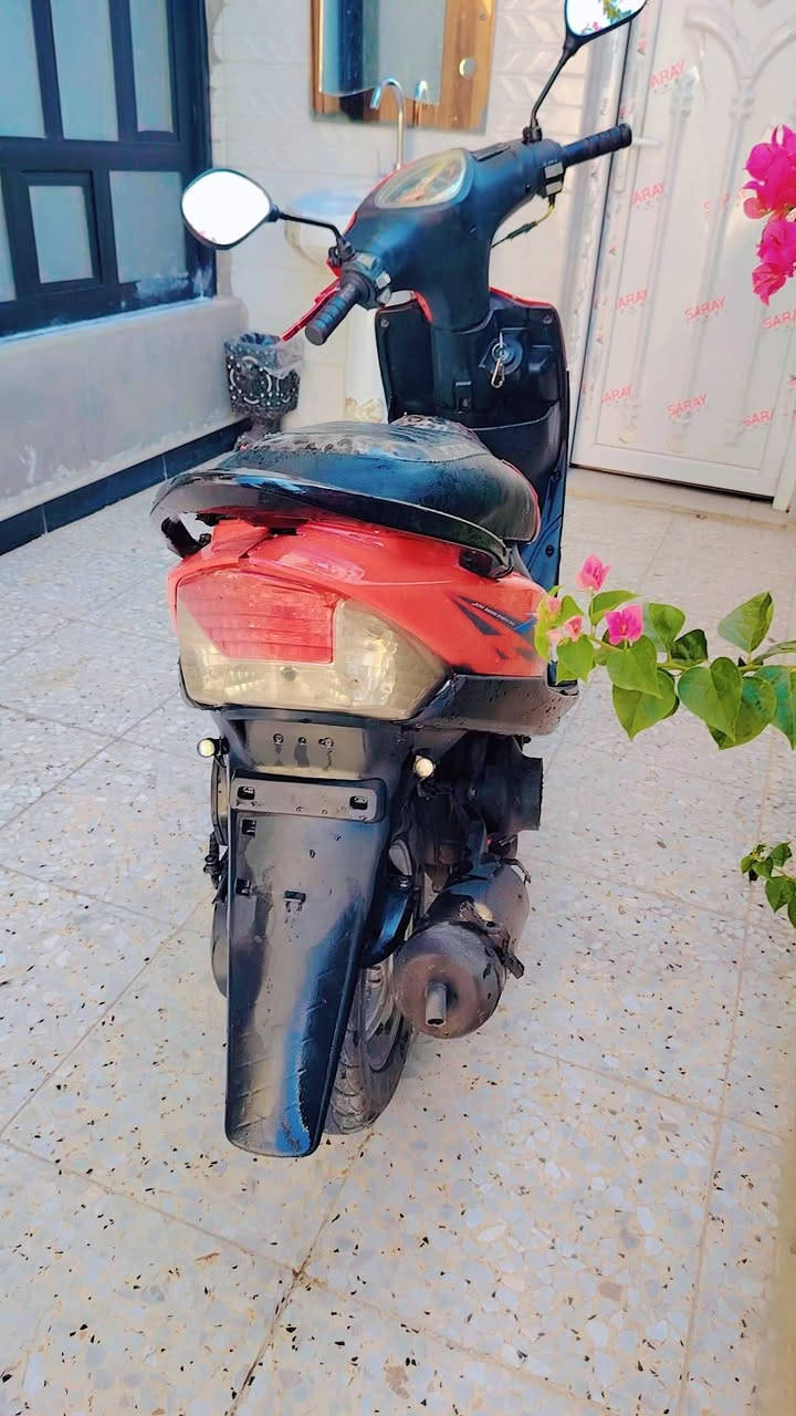 دراجه خير من الله  بل شلعه ومعدل
كهربايات كله شــــــــغاله 

كلشي مابيها  نقص  

نقصها فقط  الستان تعليك  
السعر  ،    500
وبيها مجال حك لجيه 

***********
